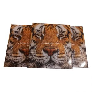 Celebrating Tigers Leather bound - Limited edition