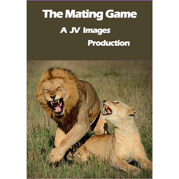 The Mating Game and Musical Video Big Cat Love