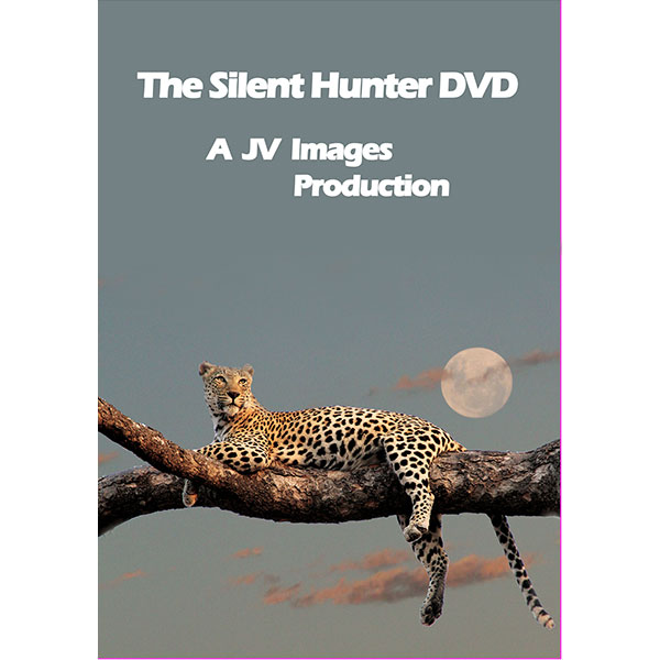 Silent Hunter and the Musical Video Respect