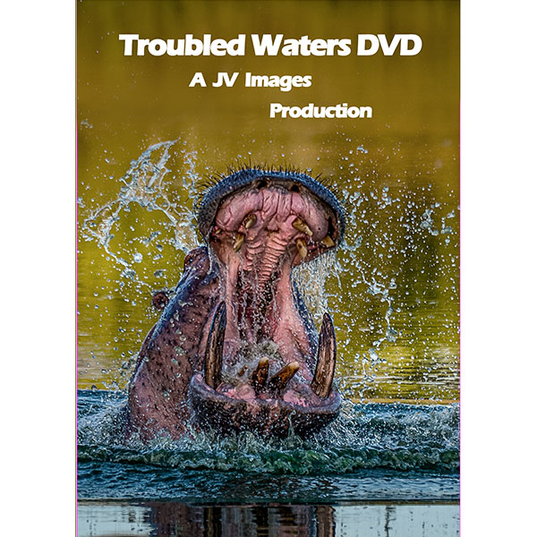 Troubled Waters and Musical Video Rolling Thunder